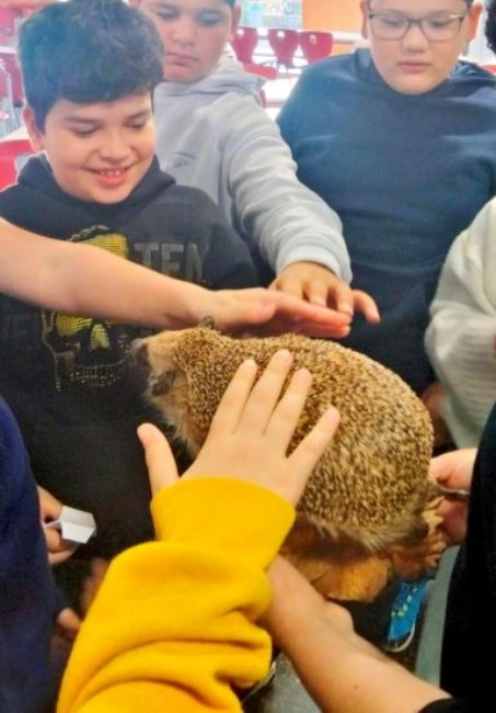 Schüler streicheln Igel